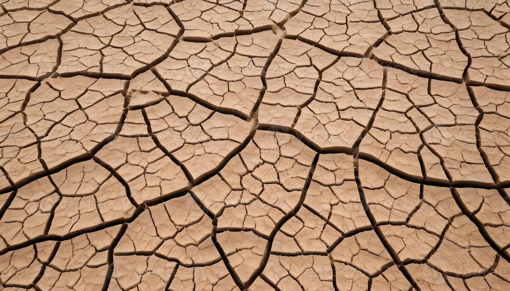 Dry Cracked Earth Texture Close Up in Desert Landscape Pattern photo