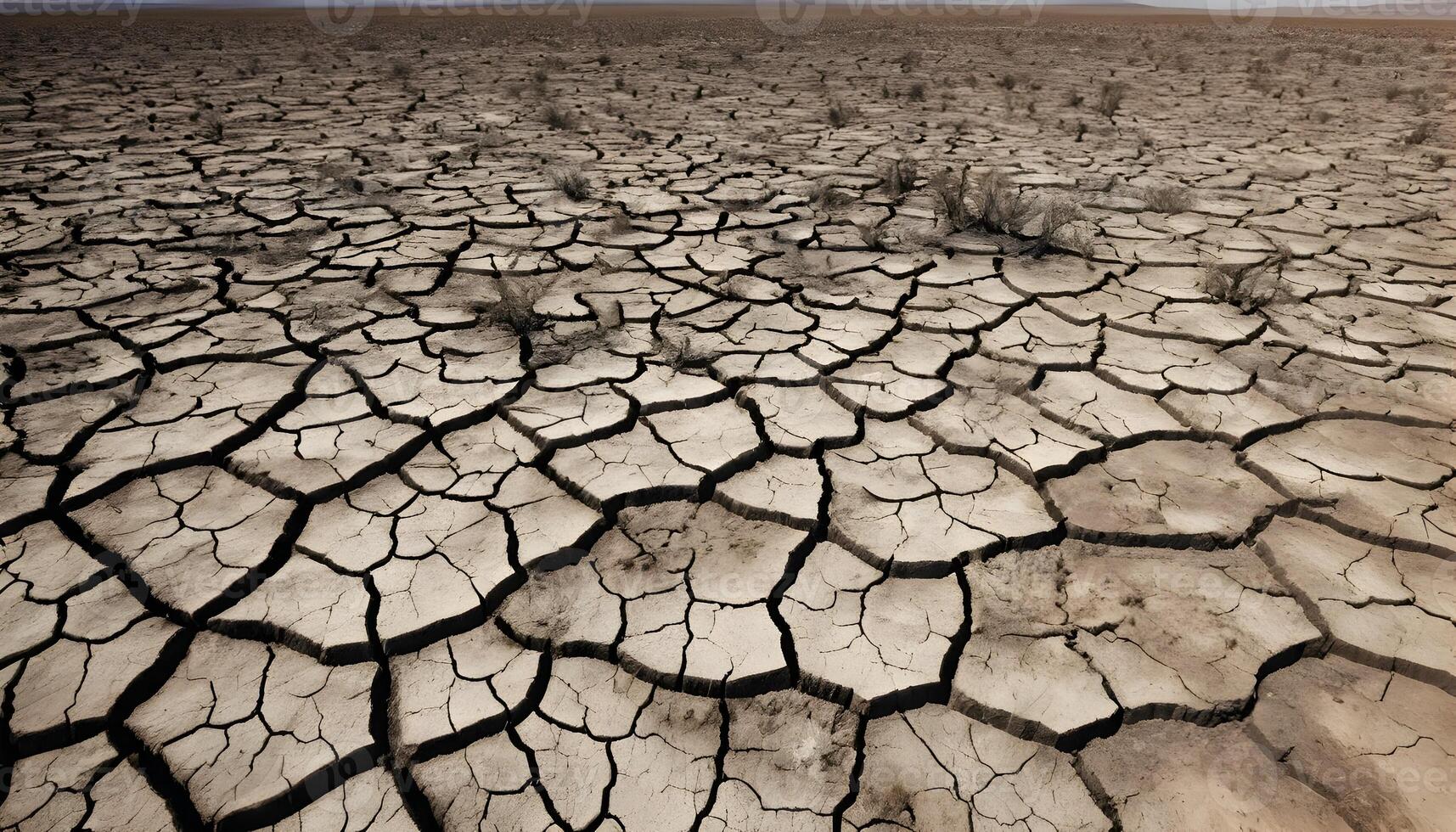 Cracked Dry Earth Landscape with Barren Ground and Sparse Vegetation photo