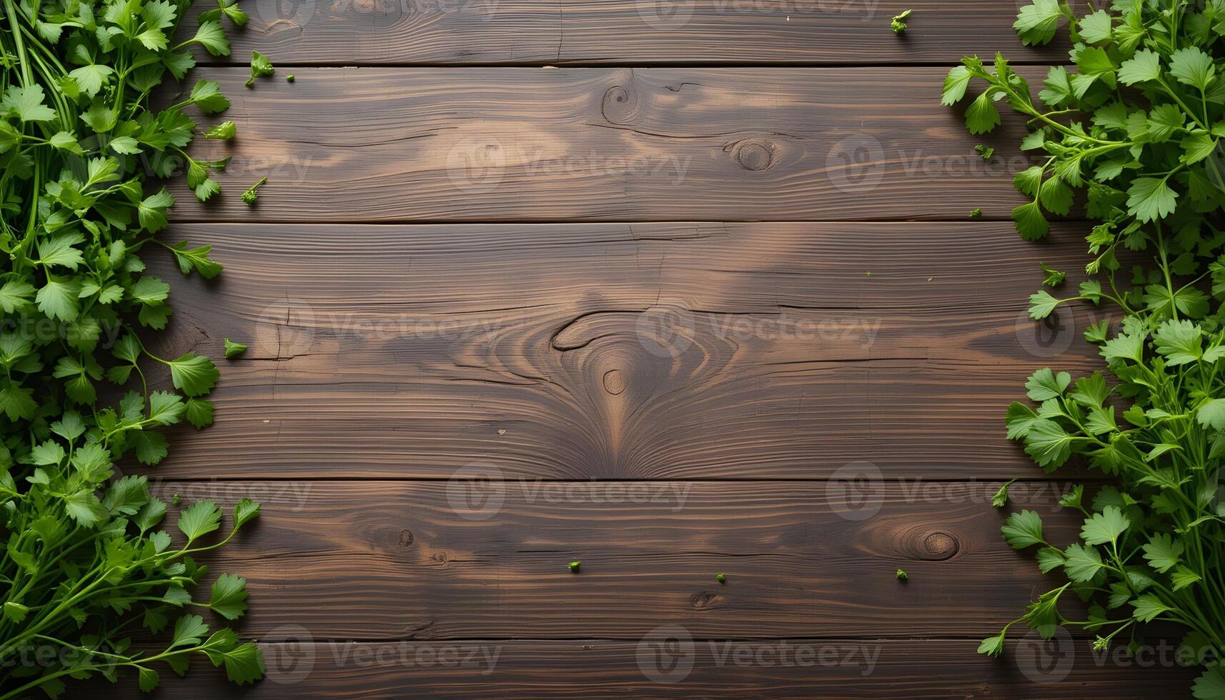 Fresh Green Parsley Bordering a Dark Wooden Background Creates a Frame photo