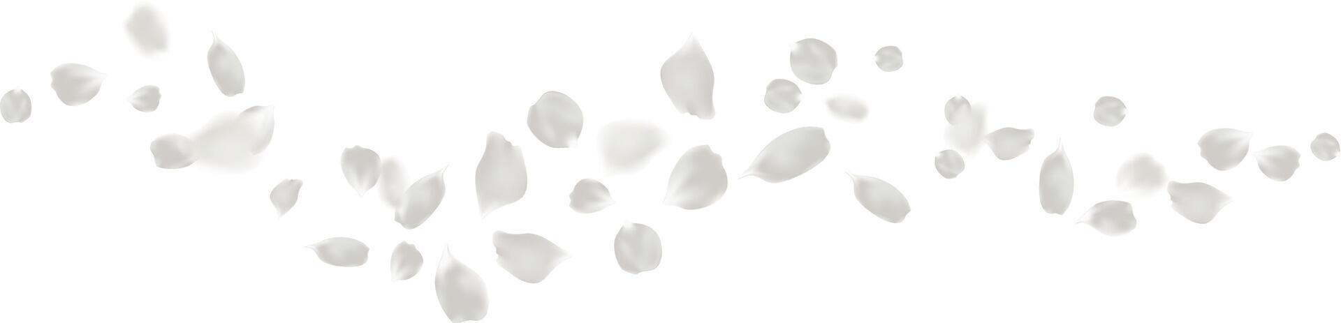 Floating rose petals lovely background. symbolic flower of love composition beauty spa vector