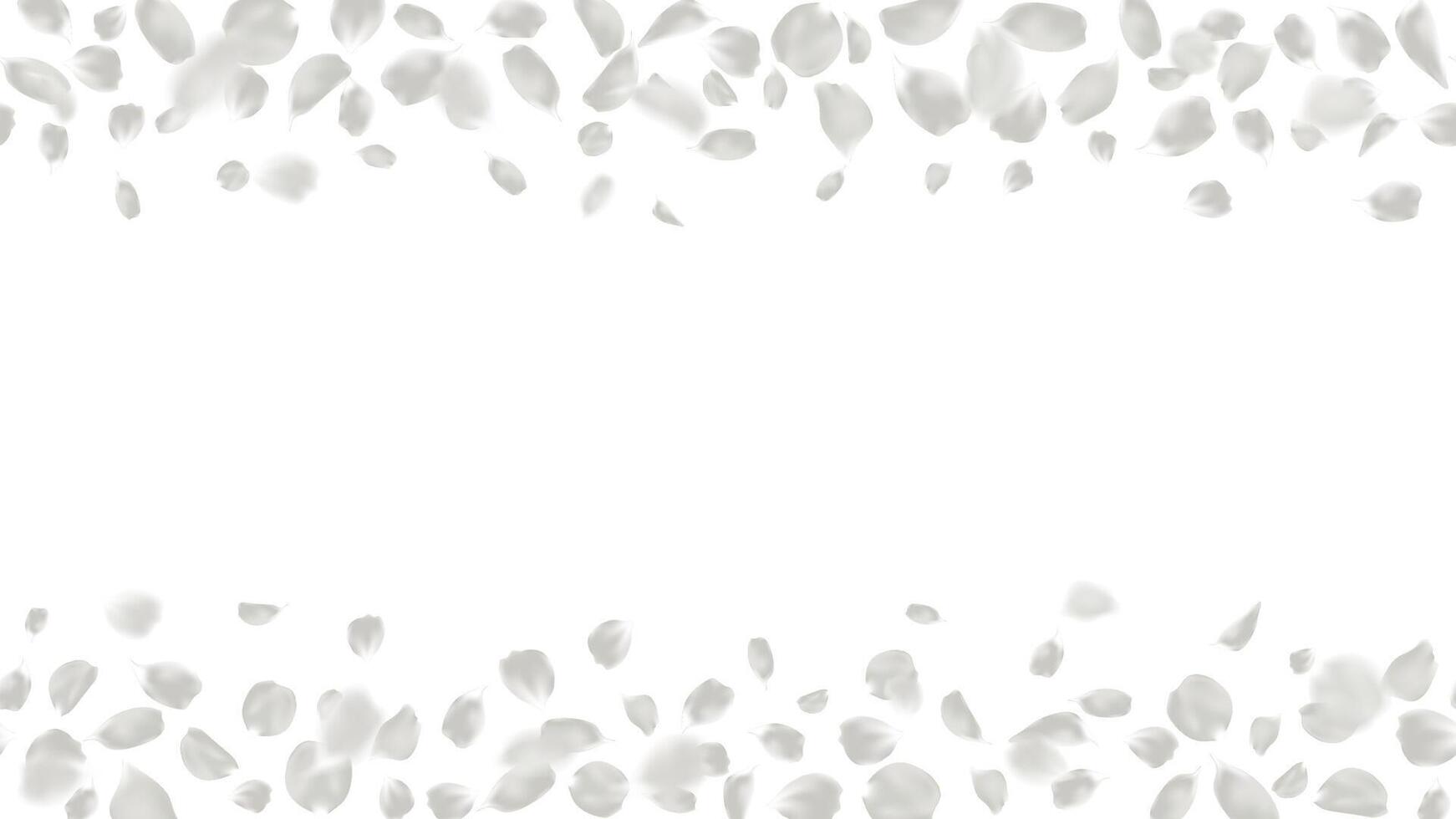 Frame light gray rose petals with space for text illustration. Seamless horizontal flower background vector