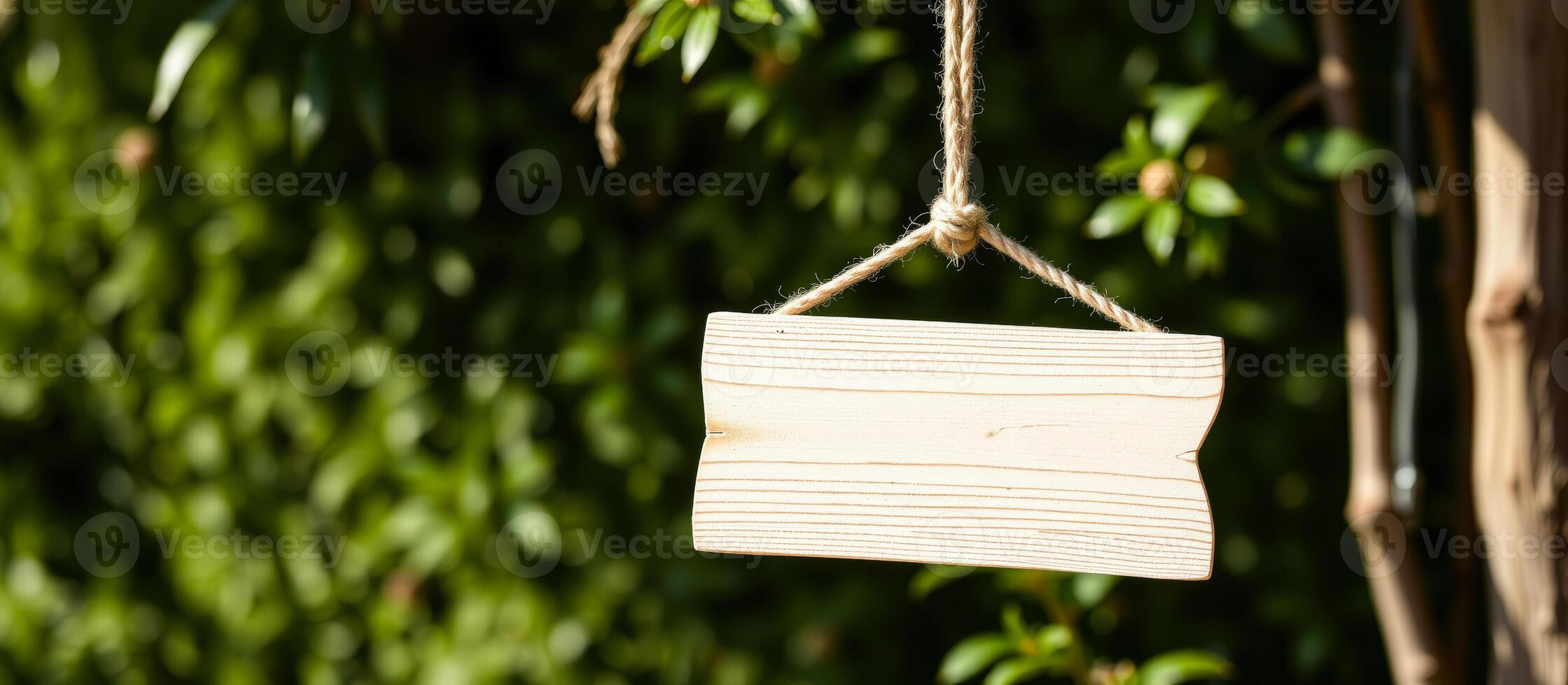 blank wooden sign hangs from a branch photo