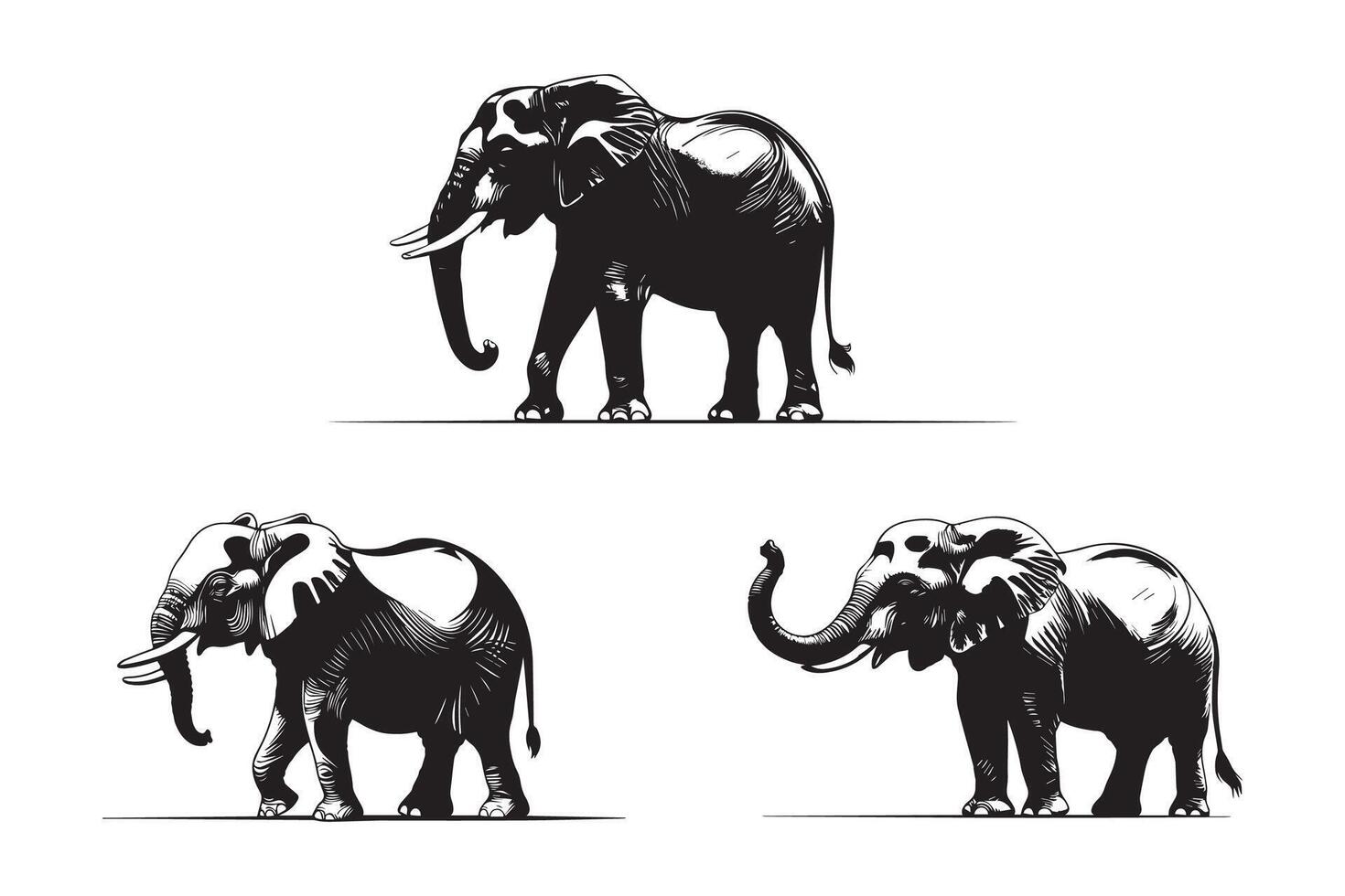 A collection of stylized black silhouettes of elephants in various walking poses. vector