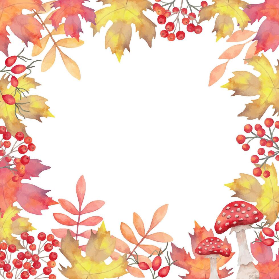 Square autumn frame of autumn leaves with rowan berries, rose hips, mushrooms. Hand drawn botanical elements. Watercolor illustration. Backdrop for invitations, cards, quotes. Thanksgiving, Halloween vector