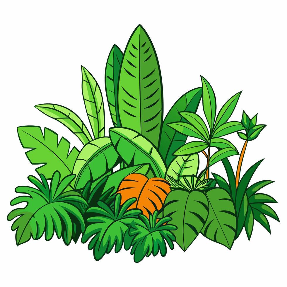 jungle foliage illustration vector