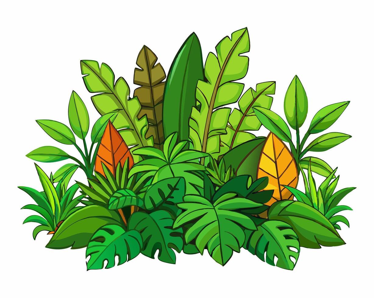 jungle foliage illustration isolated on white background vector