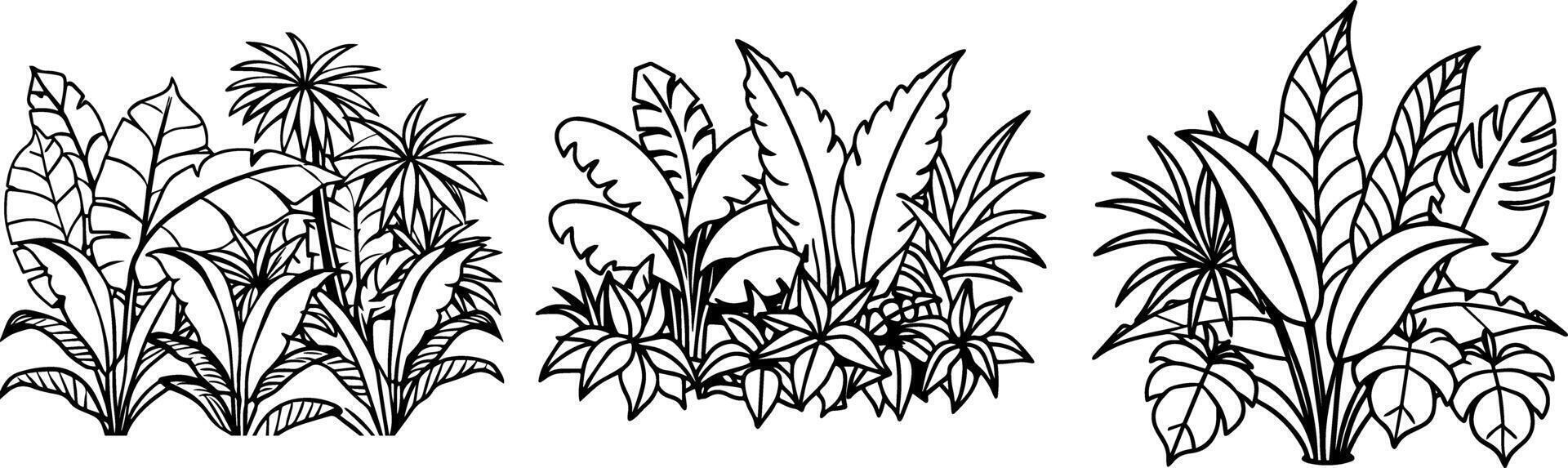 Set of jungle foliage outline coloring book page line art vector
