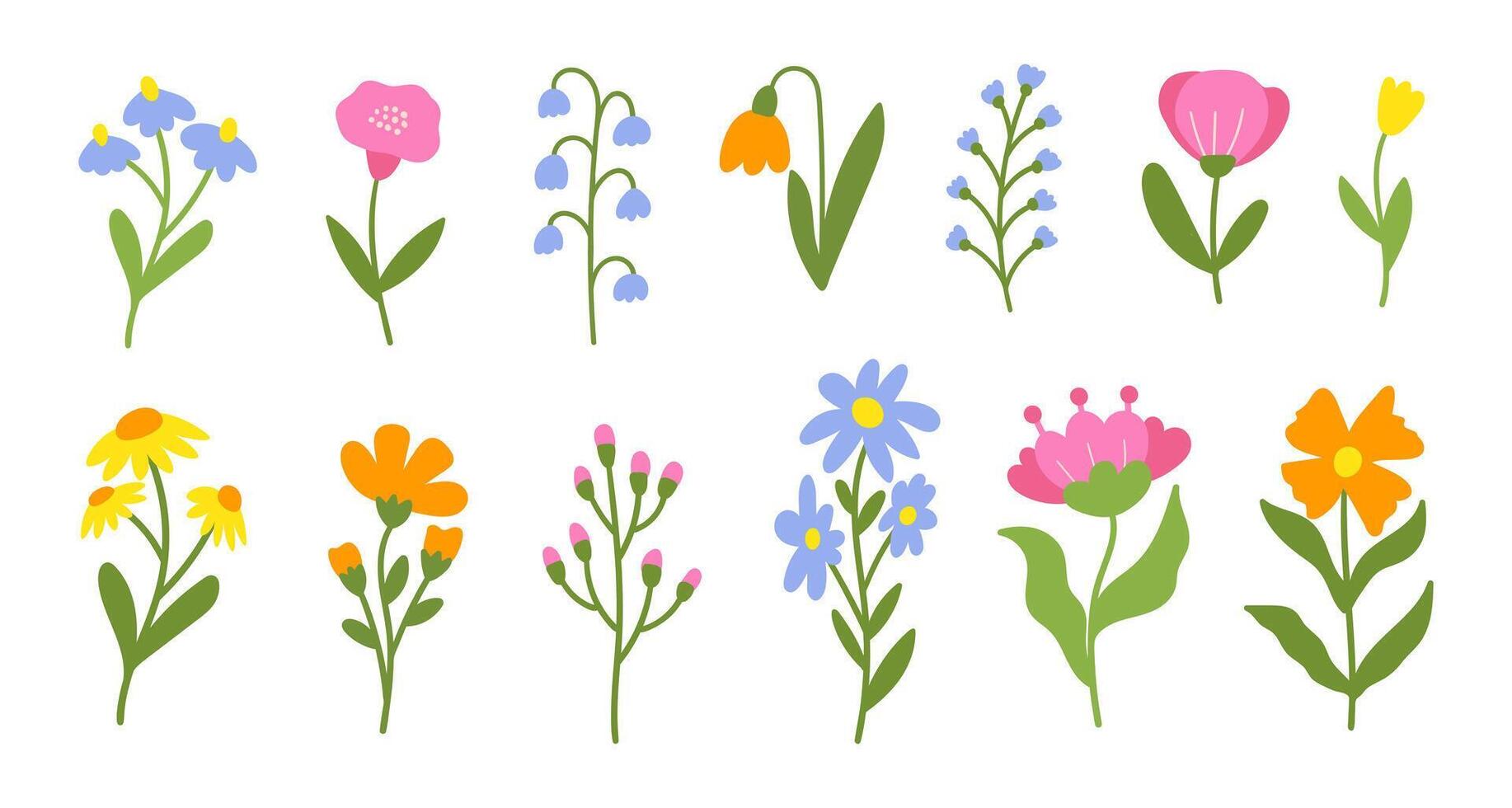 Floral set cute botanical elements on a white background. Spring and summer groovy flowers, leaves, branches. vector