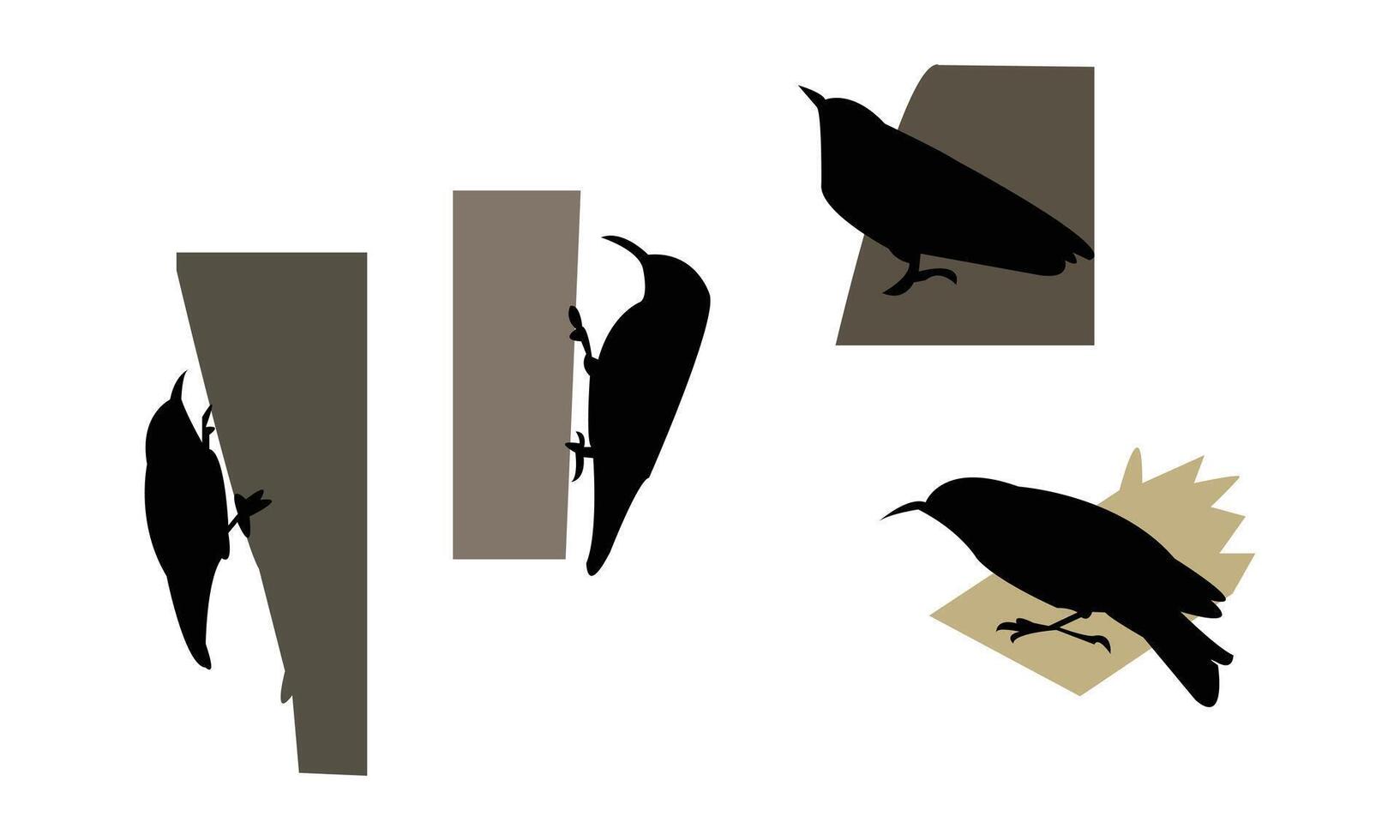 African spotted creeper bird Silhouette Collection vector