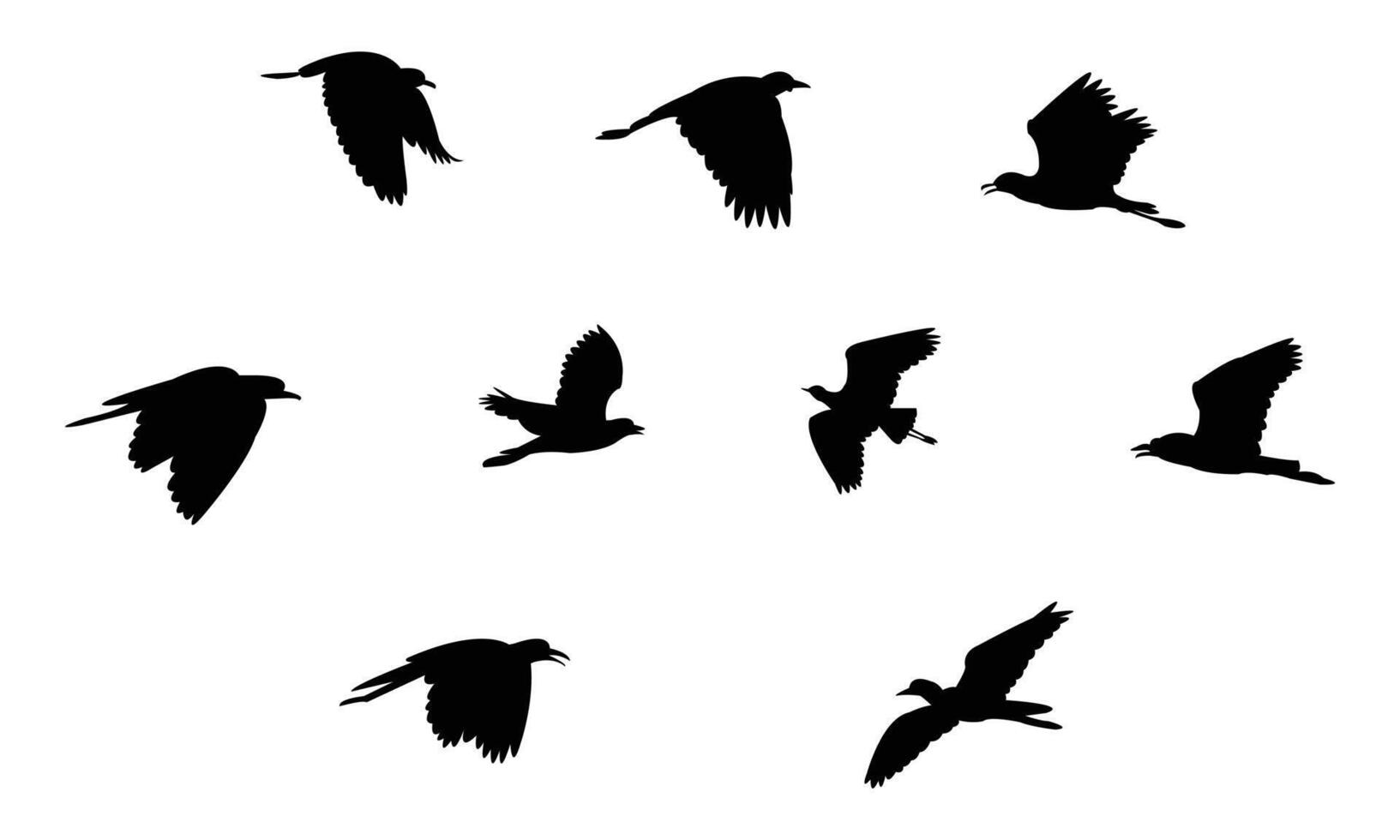 Flying African wattled lapwing bird Silhouette Collection vector