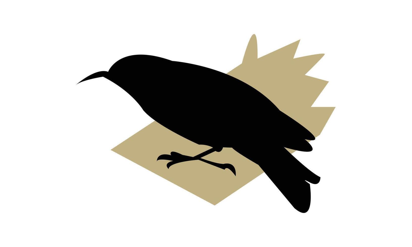 African spotted creeper bird Silhouette Design vector