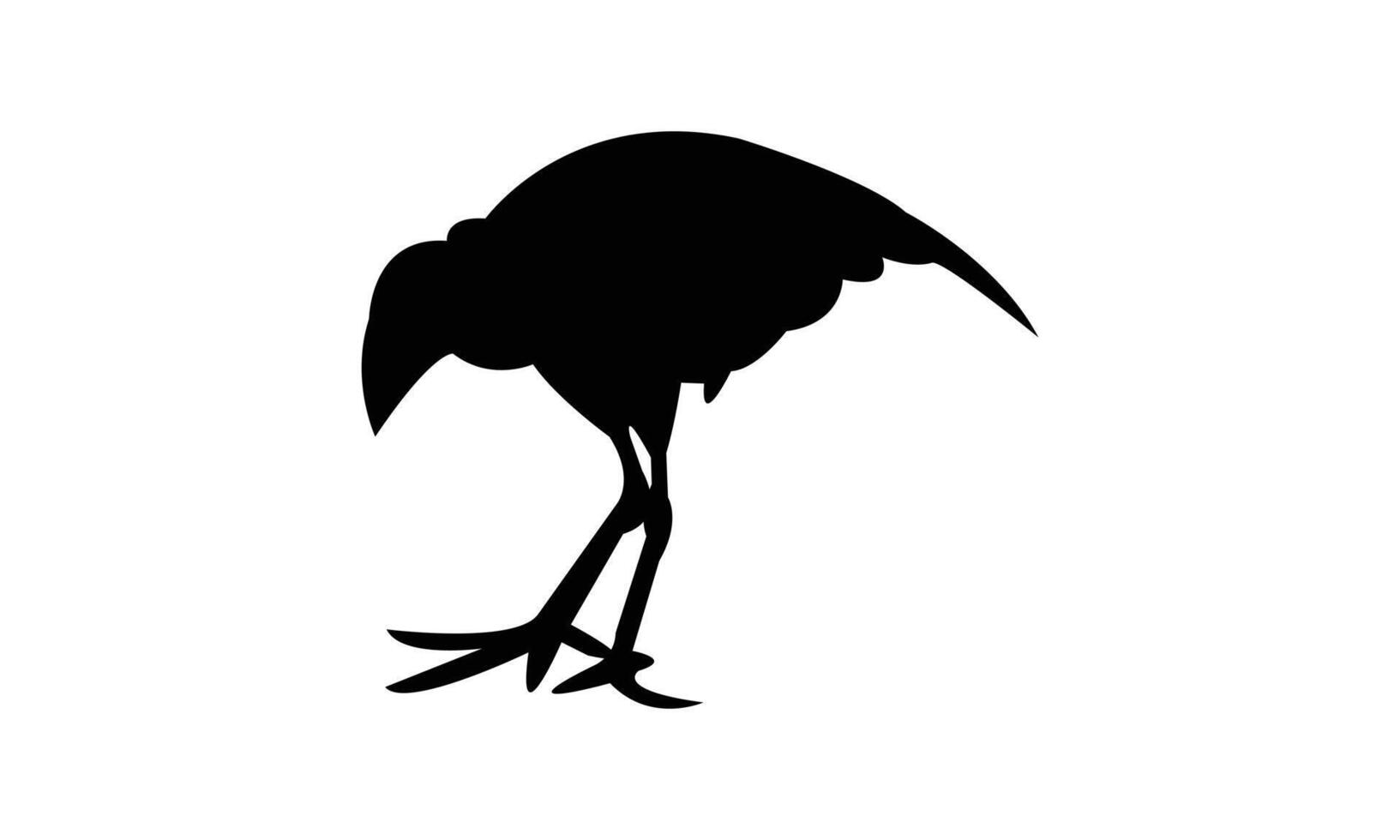 African swamphen bird Silhouette Design And Illustration. vector