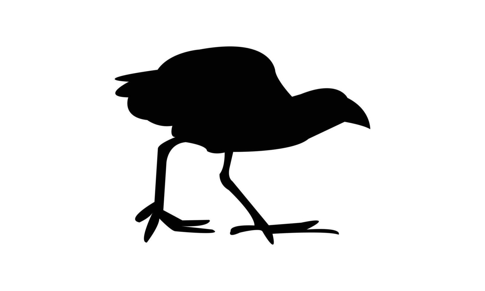African swamphen bird Silhouette vector