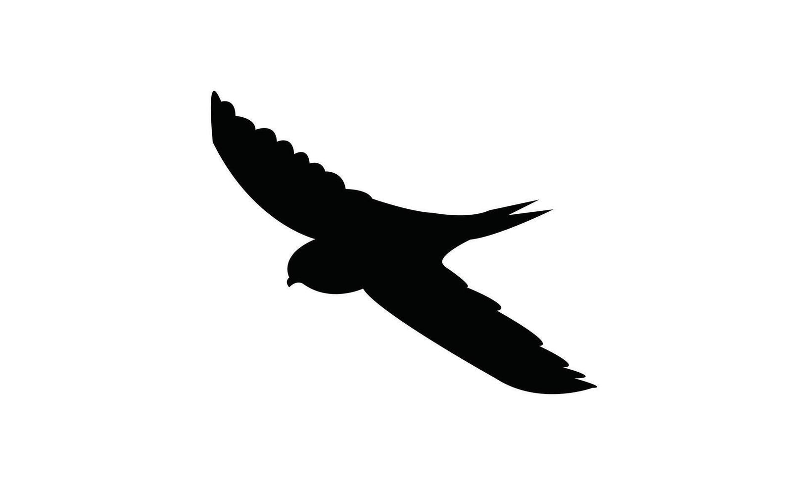 Flying African thrush bird Silhouette vector