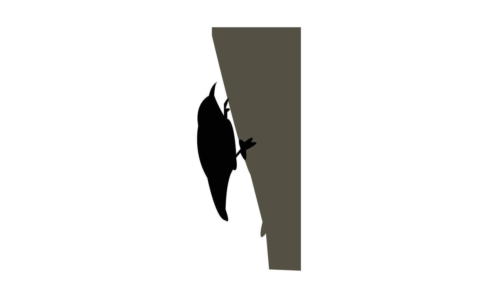 African spotted creeper bird Silhouette vector