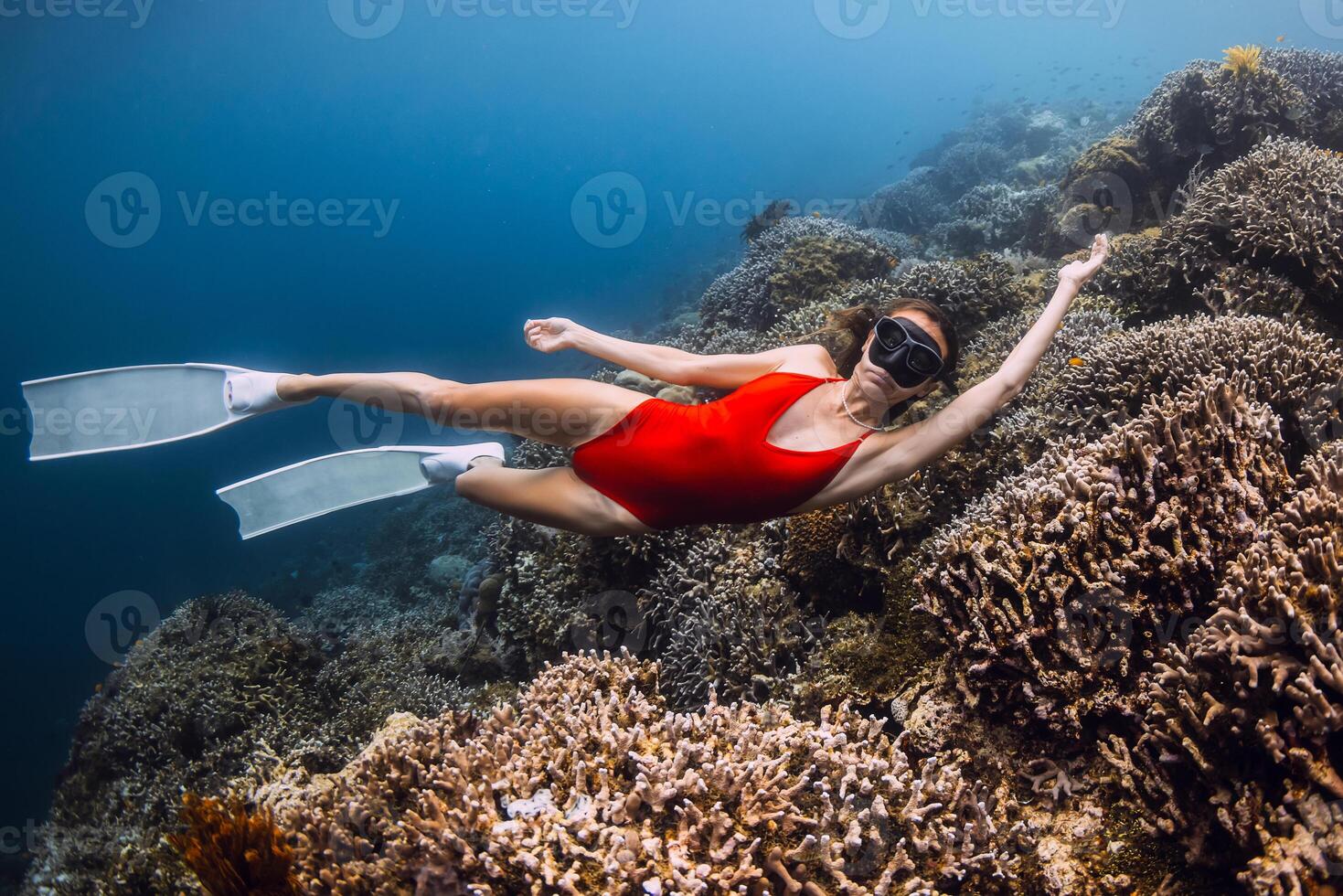 Woman freediver glides in underwater with living corals. Free diving in crystal blue sea photo