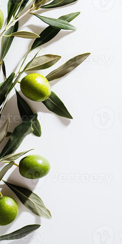 Olives on white background photo
