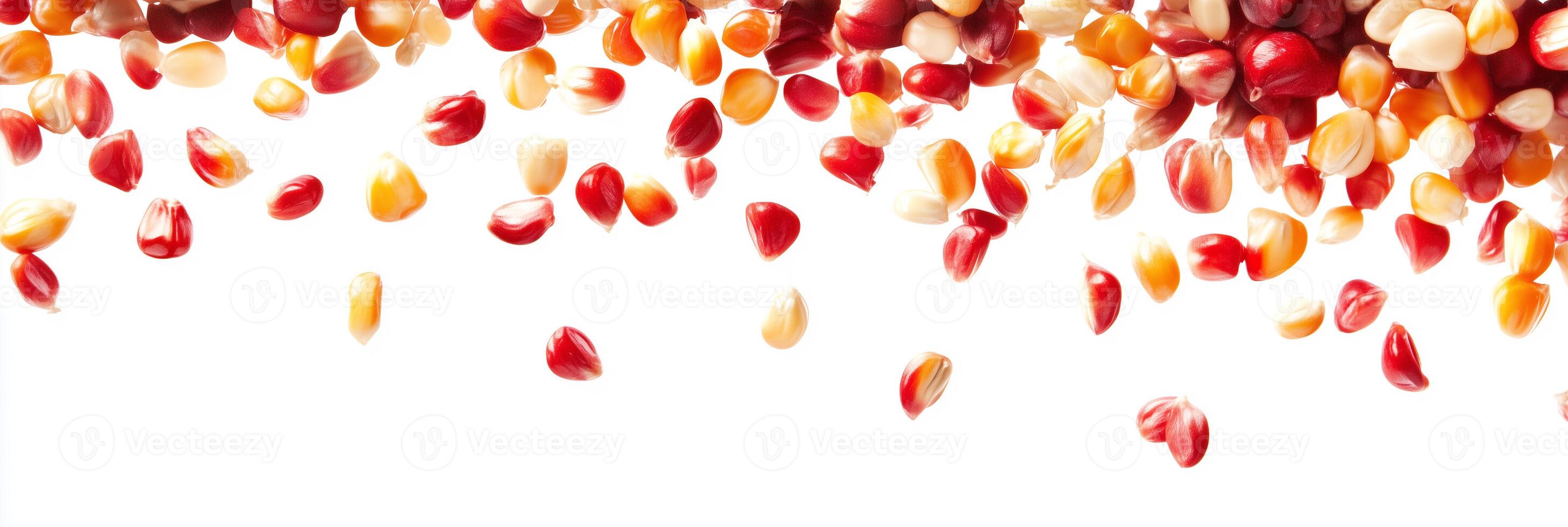 Photorealistic Zea mays with copy space, Zea mays plant setting, isolated on white plant photo