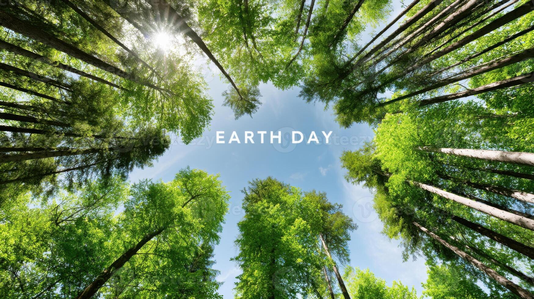 Lush green trees reaching towards a bright blue sky, capturing the essence of nature and environmental awareness, celebrating Earth Day with vibrant foliage and sunlight photo
