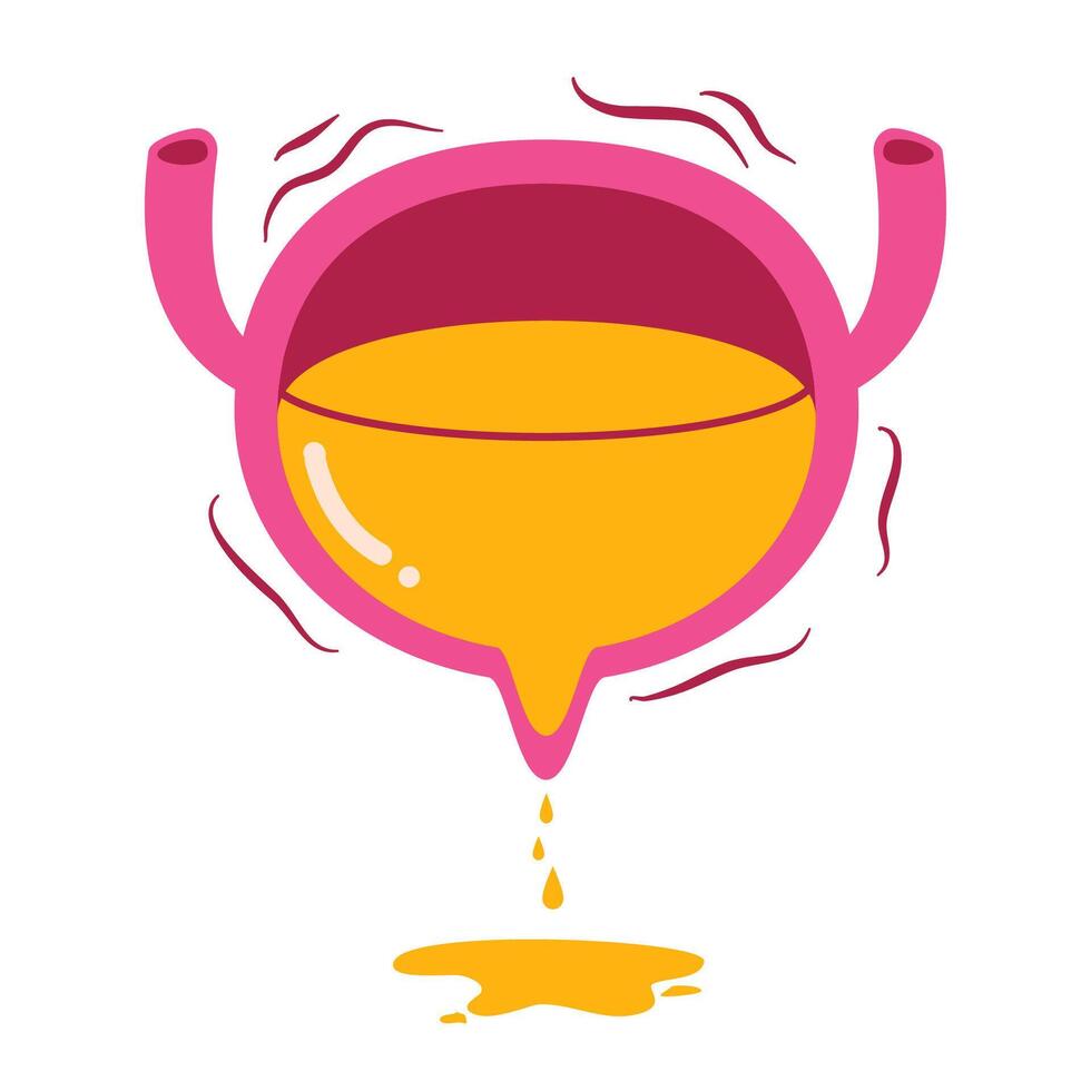 Bladder incontinence illustration vector