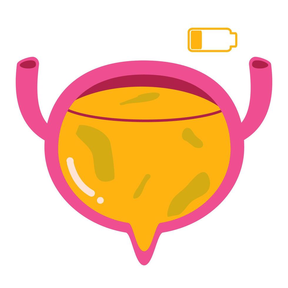 Sick bladder illustration vector
