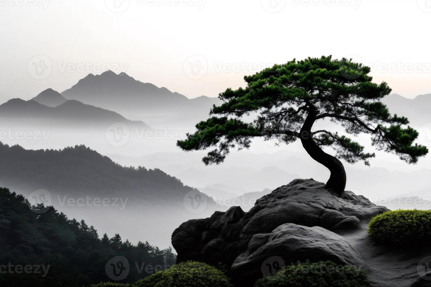 Lonely tree growing on a rock in misty mountains at dawn photo
