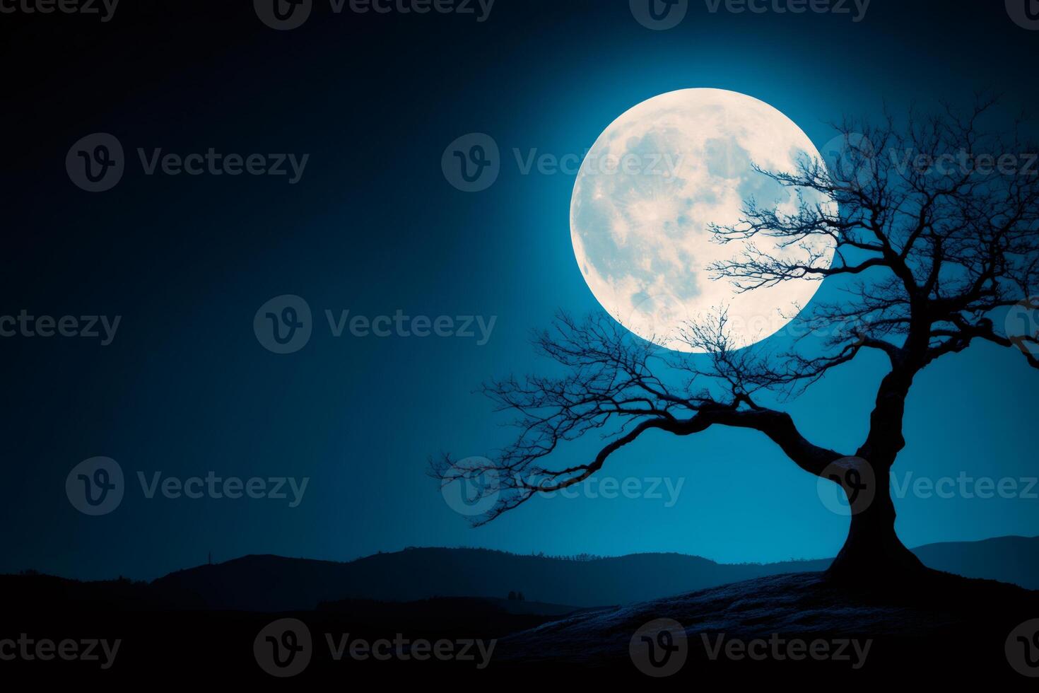 Bare tree silhouette under a big moon at night photo