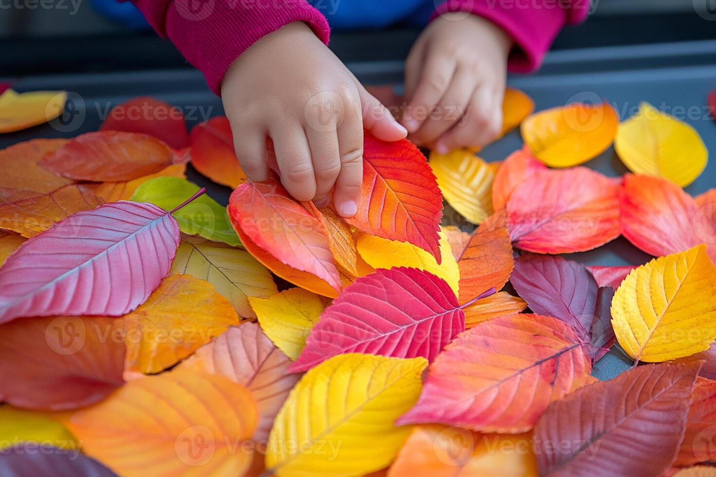 Child playing with colorful autumn leaves on a table- photo