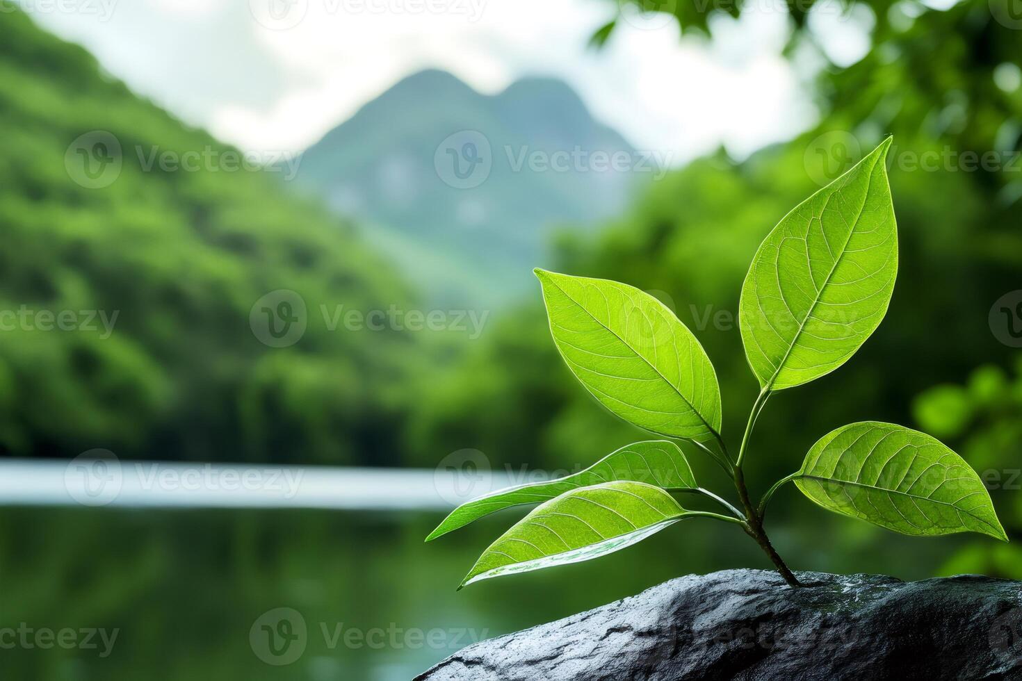 Young plant growing on rock by the lake with mountains in background photo