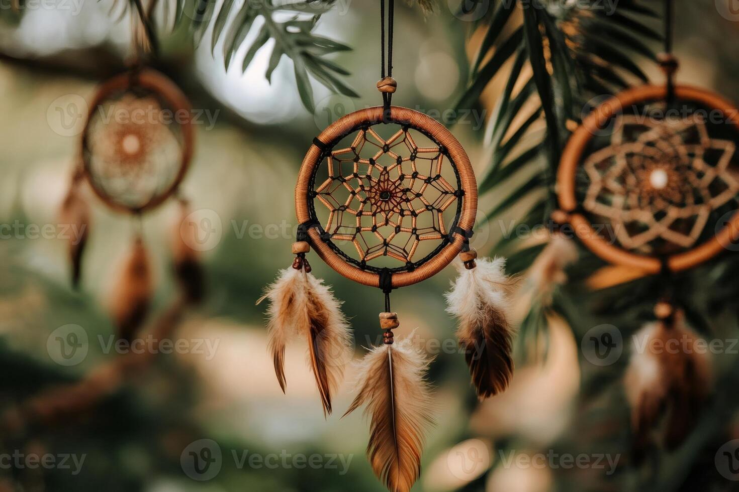 Dream catchers hanging from a tree branch with feathers swaying in the breeze photo