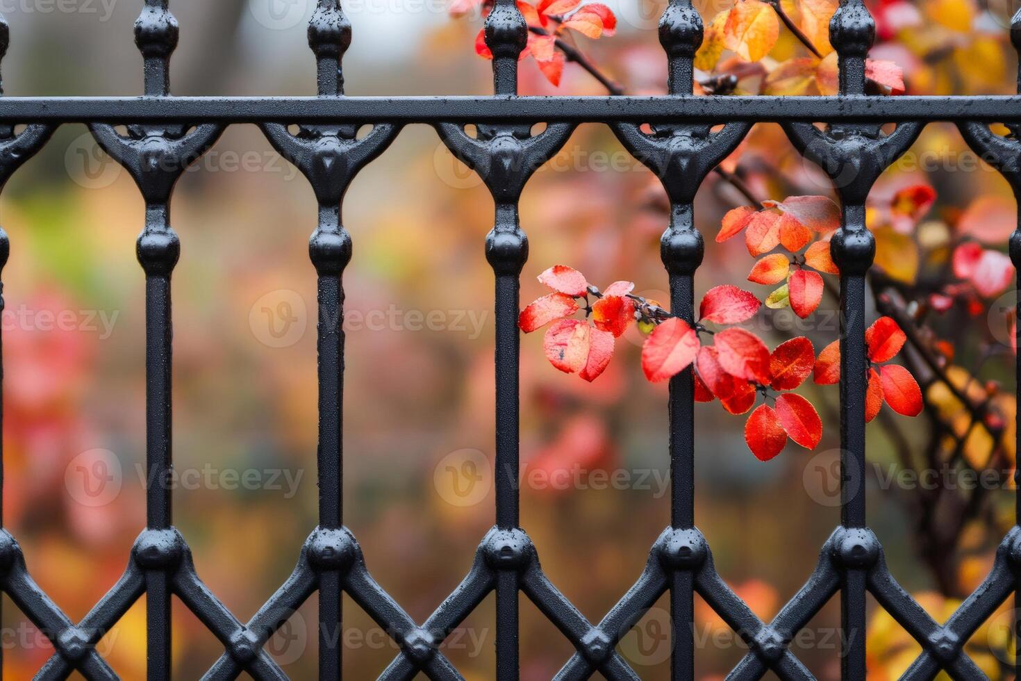 Red and orange autumn leaves emerging through black painted wrought iron fence photo
