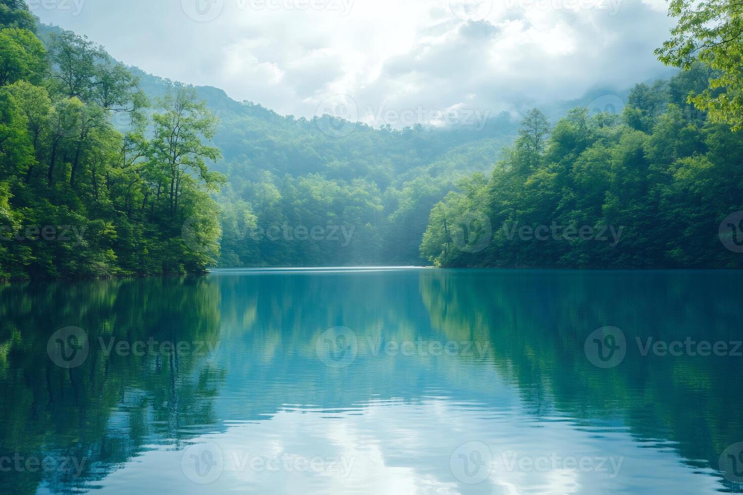Sunlight filtering through trees onto serene lake in green forest photo