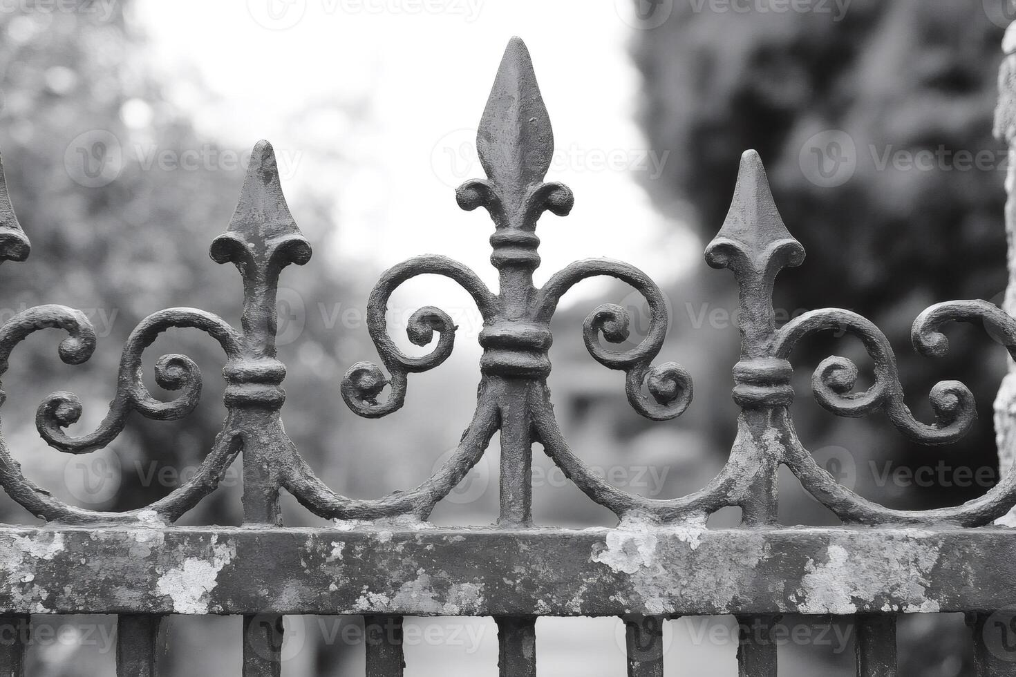 Old ornate wrought iron fence showing fleur de lis and rusting in black and white photo