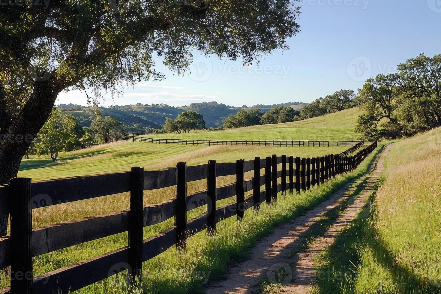 Dirt road running along wooden fence in green meadow photo