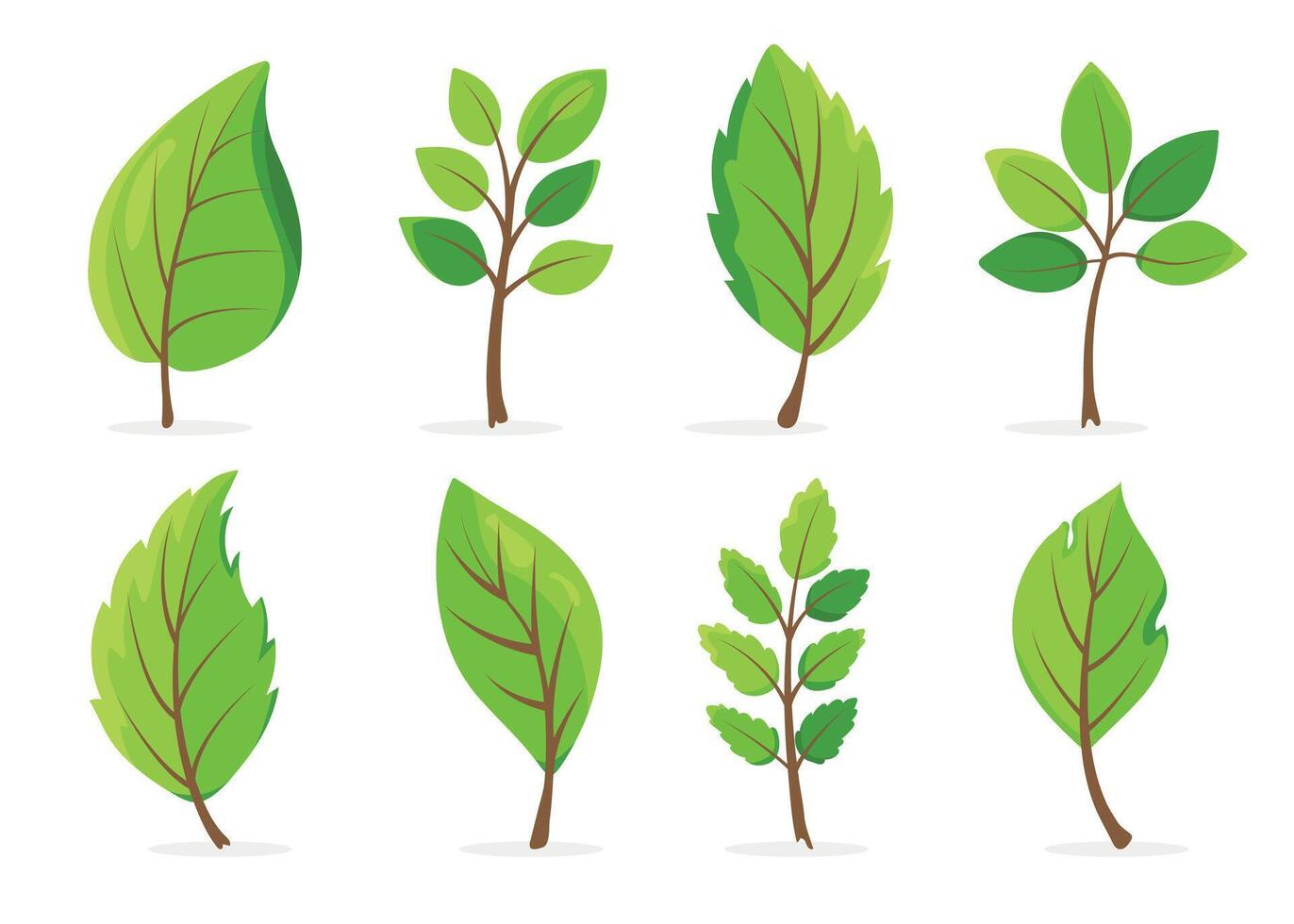 set of realistic green leaves. Vibrant green foliage of different shapes for eco projects, design, educational materials about nature. vector