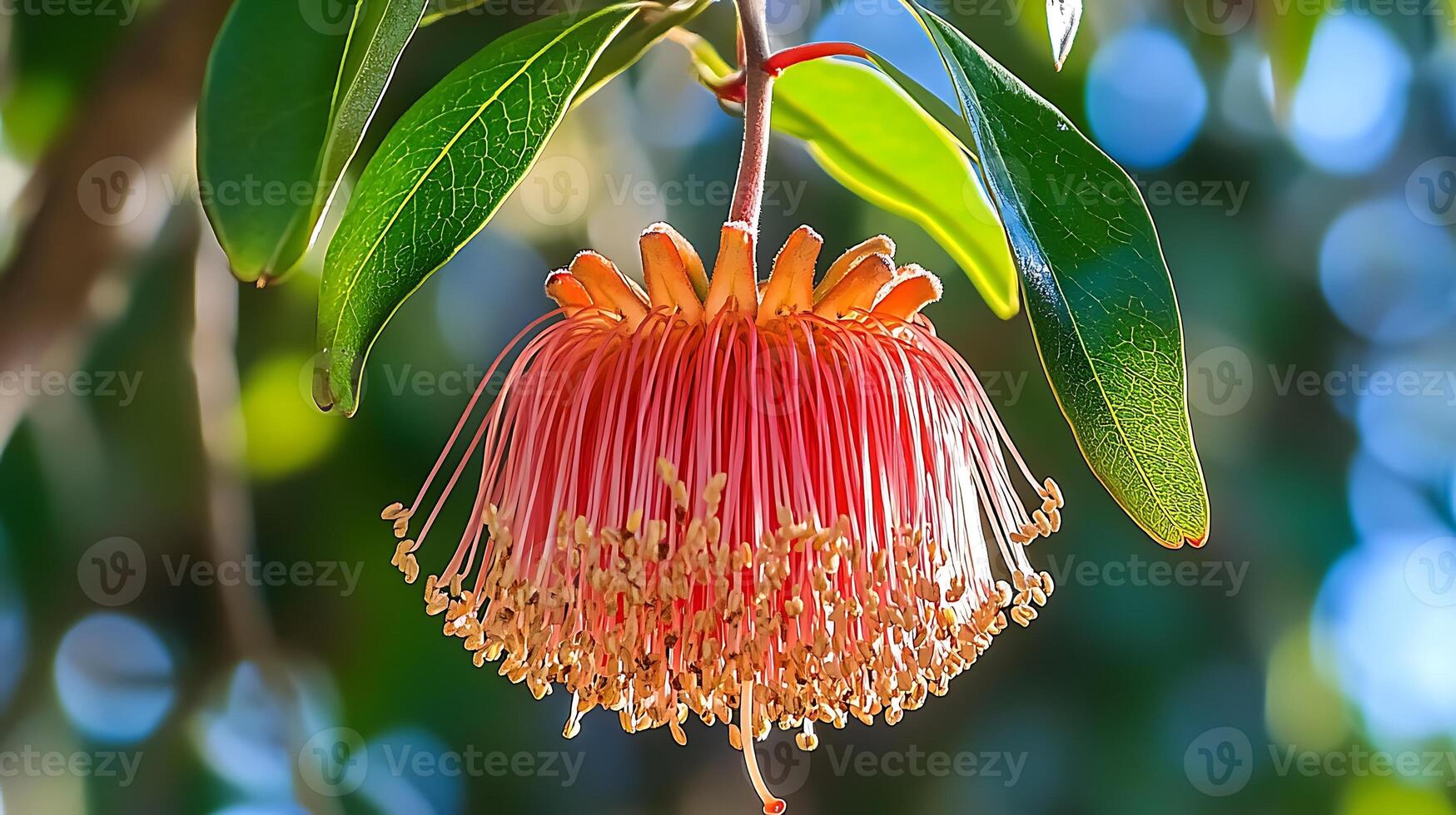 A flower hanging from a tree, flower wallpaper photo