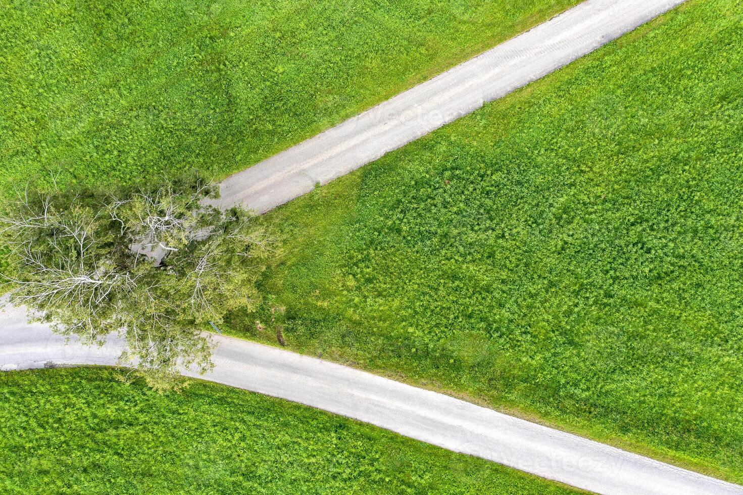 aerial view of fork road in a field and tree photo