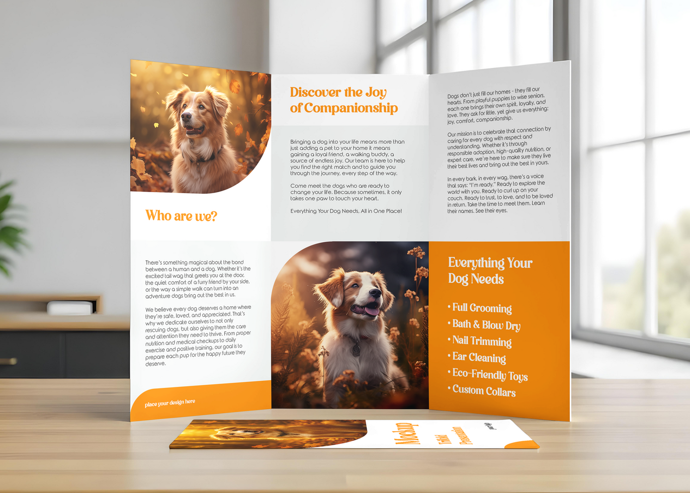 Trifold Presentation Mockup psd