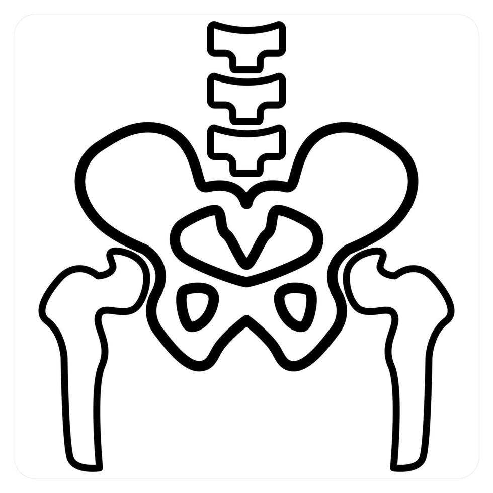 Pelvic Bone icon concept in black line color vector
