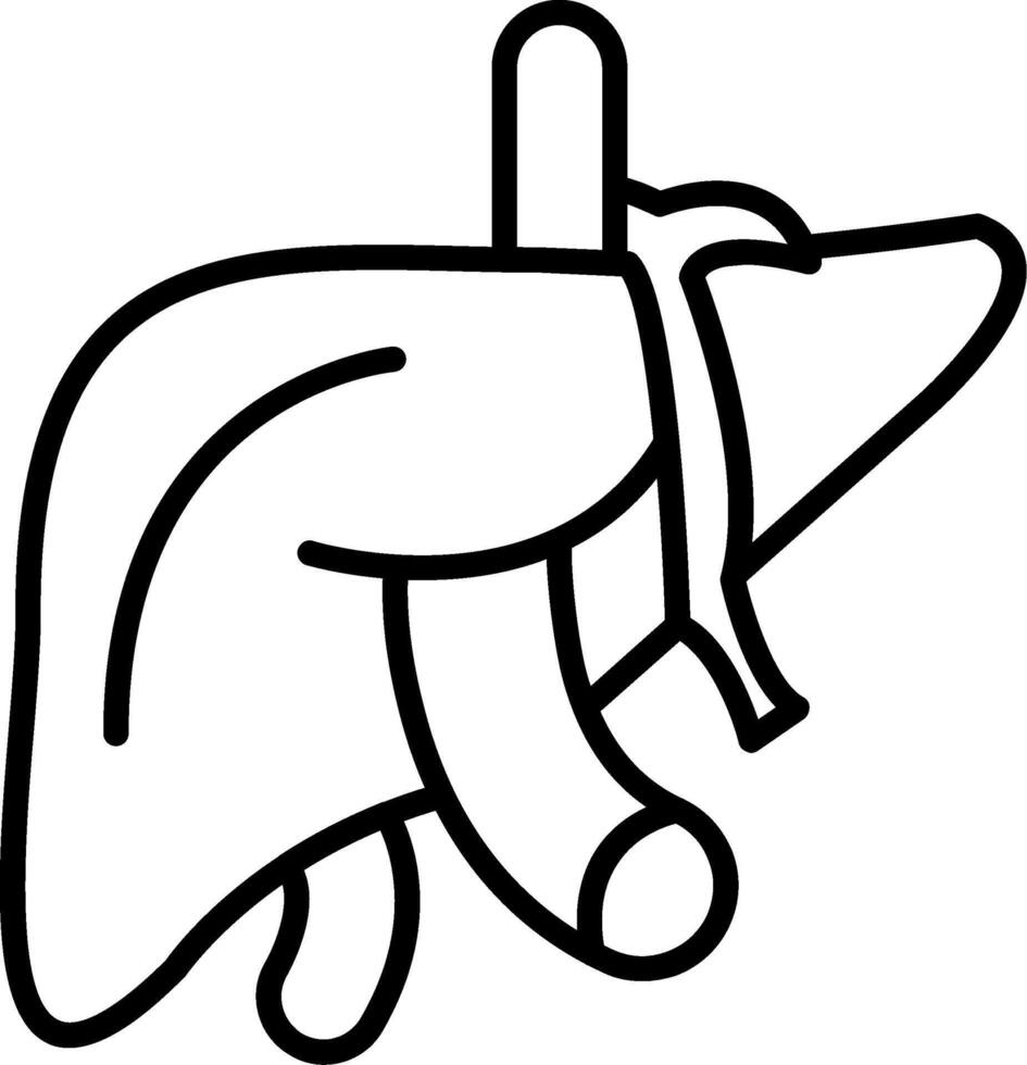 Liver Detoxifying Organ vector