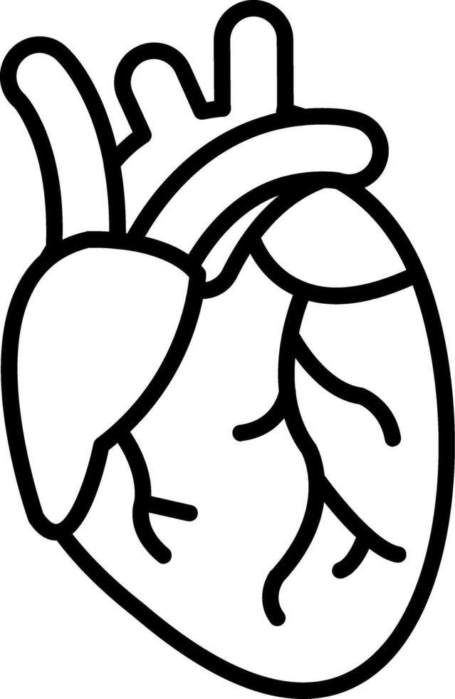 Heart Vital Organ vector