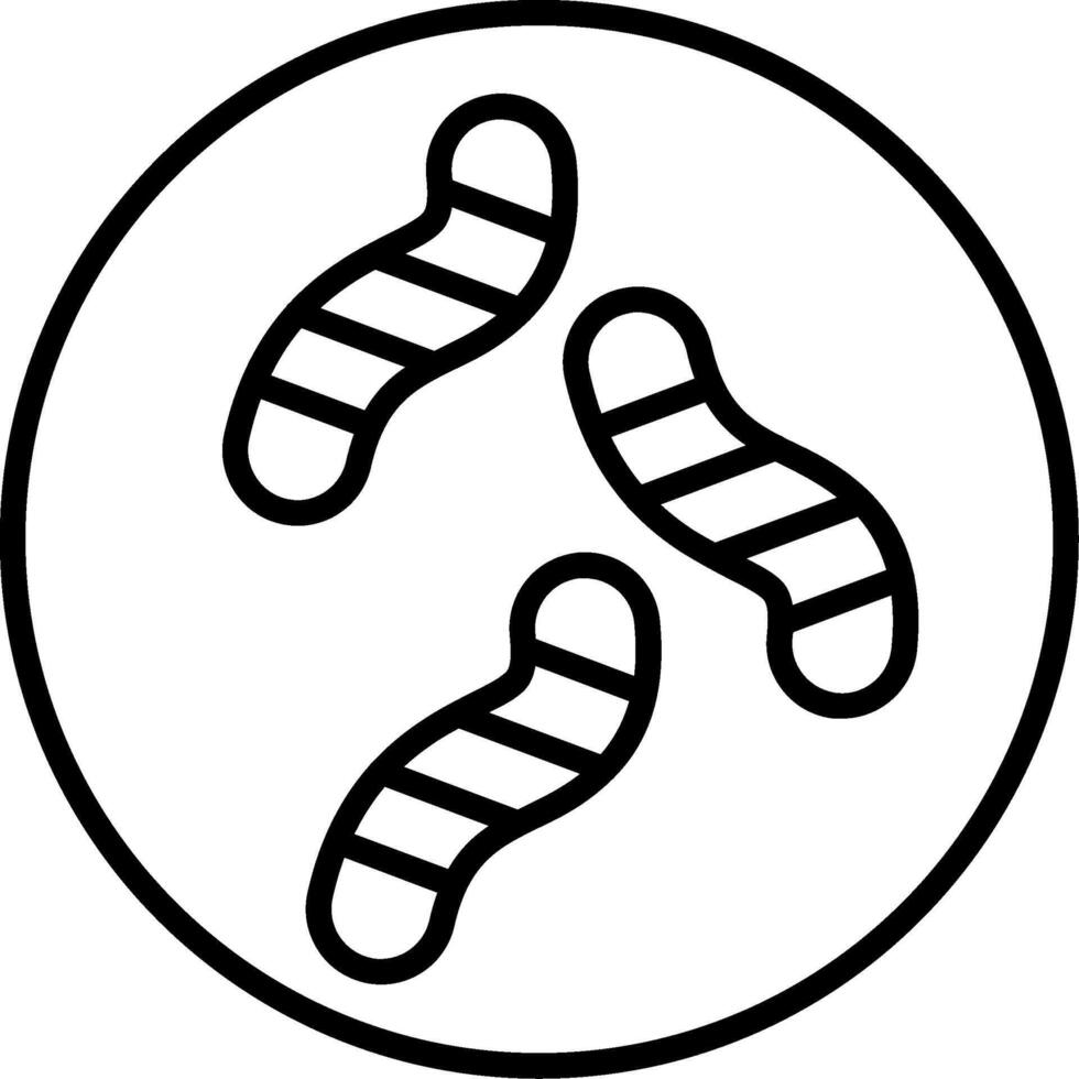 Roundworm Parasitic Worm vector