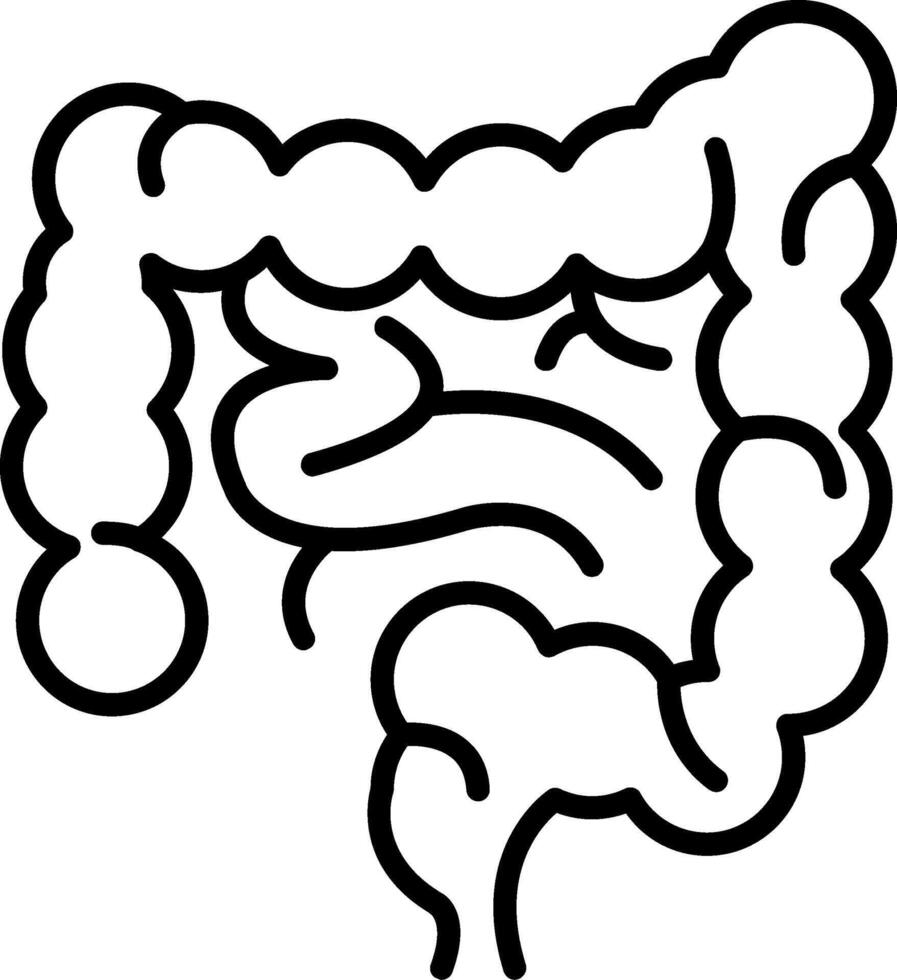 Intestine Digestive Tube vector