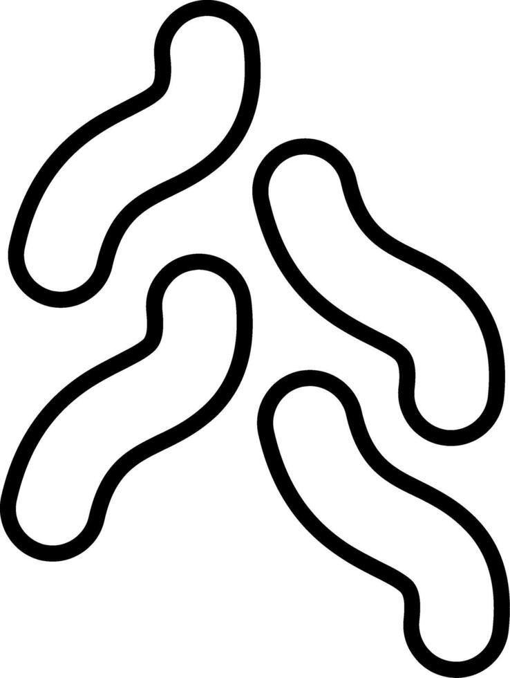 Lactobacillus Beneficial Bacteria vector