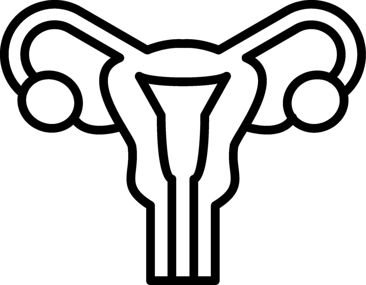Uterus Female Reproductive Organ vector