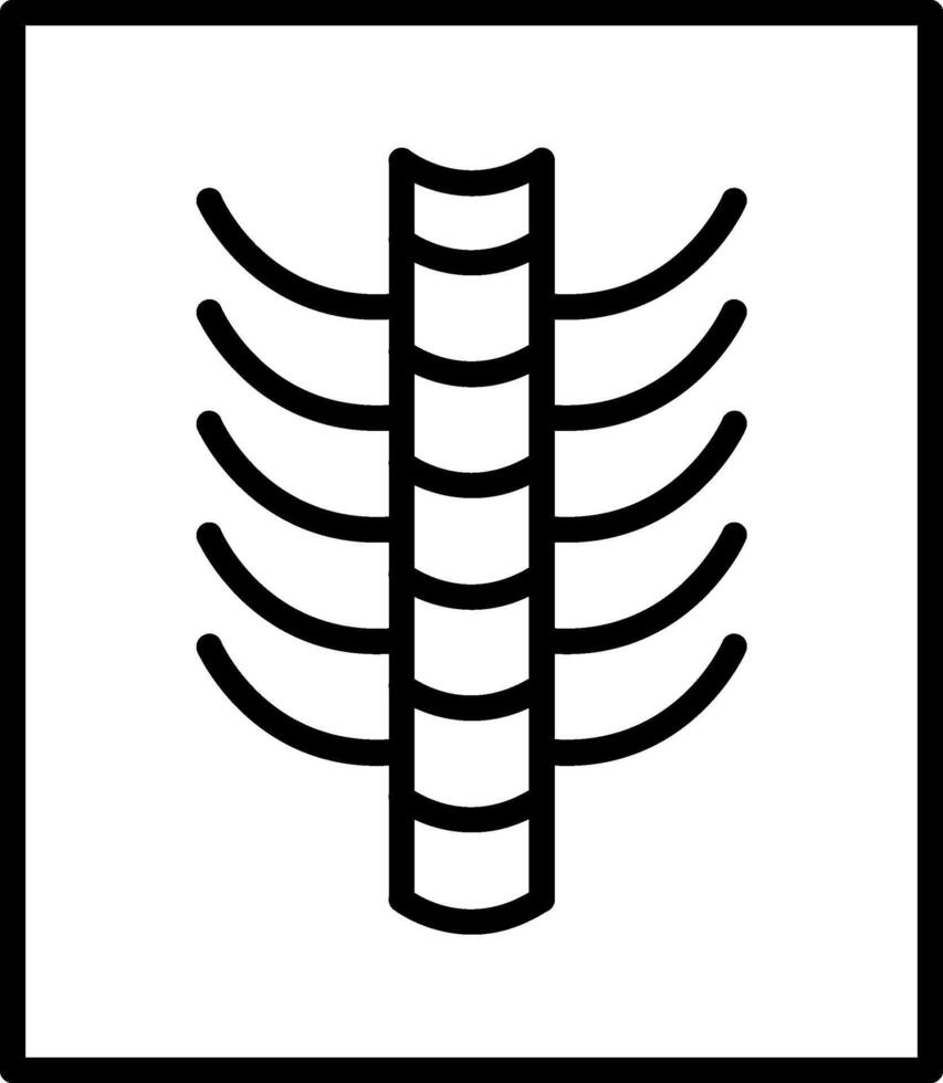 Backbone X Ray Spinal Imaging vector