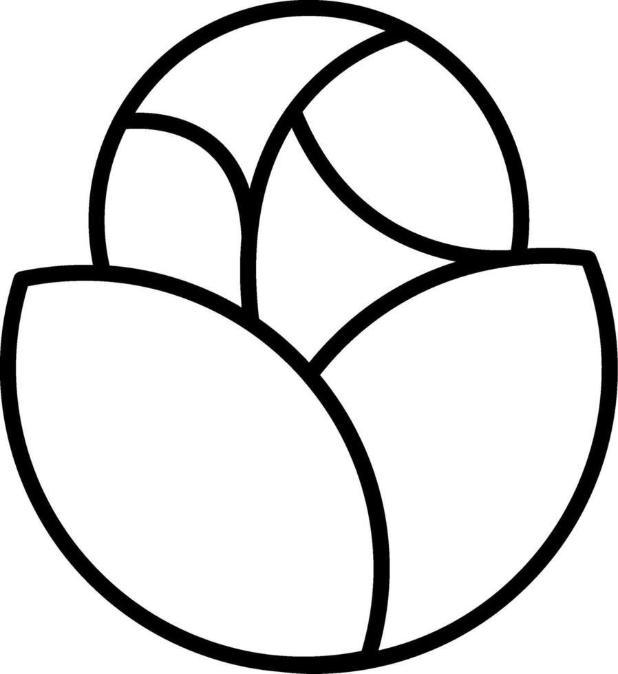 Cabbage Green Vegetable vector