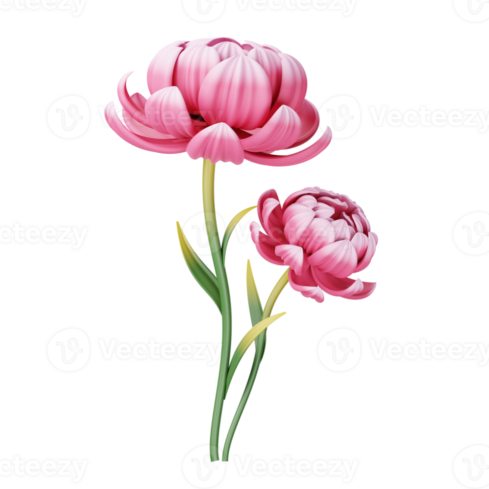 Two pink flowers are on a black background png