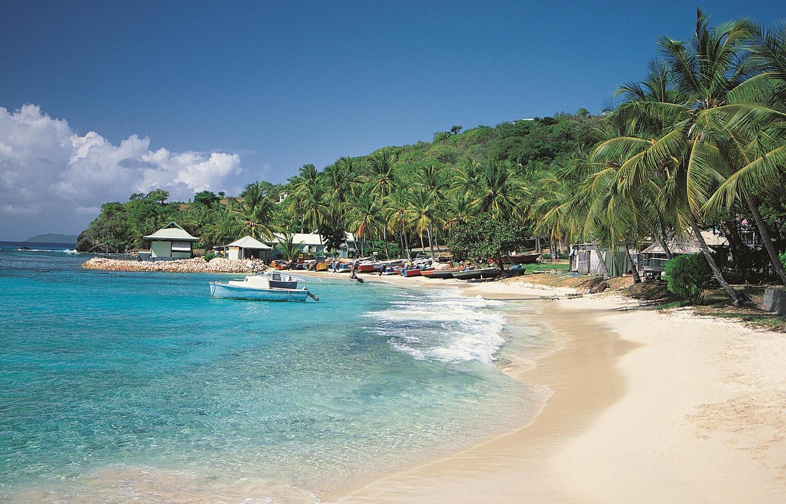 A beach with boats and palm trees on the shore photo
