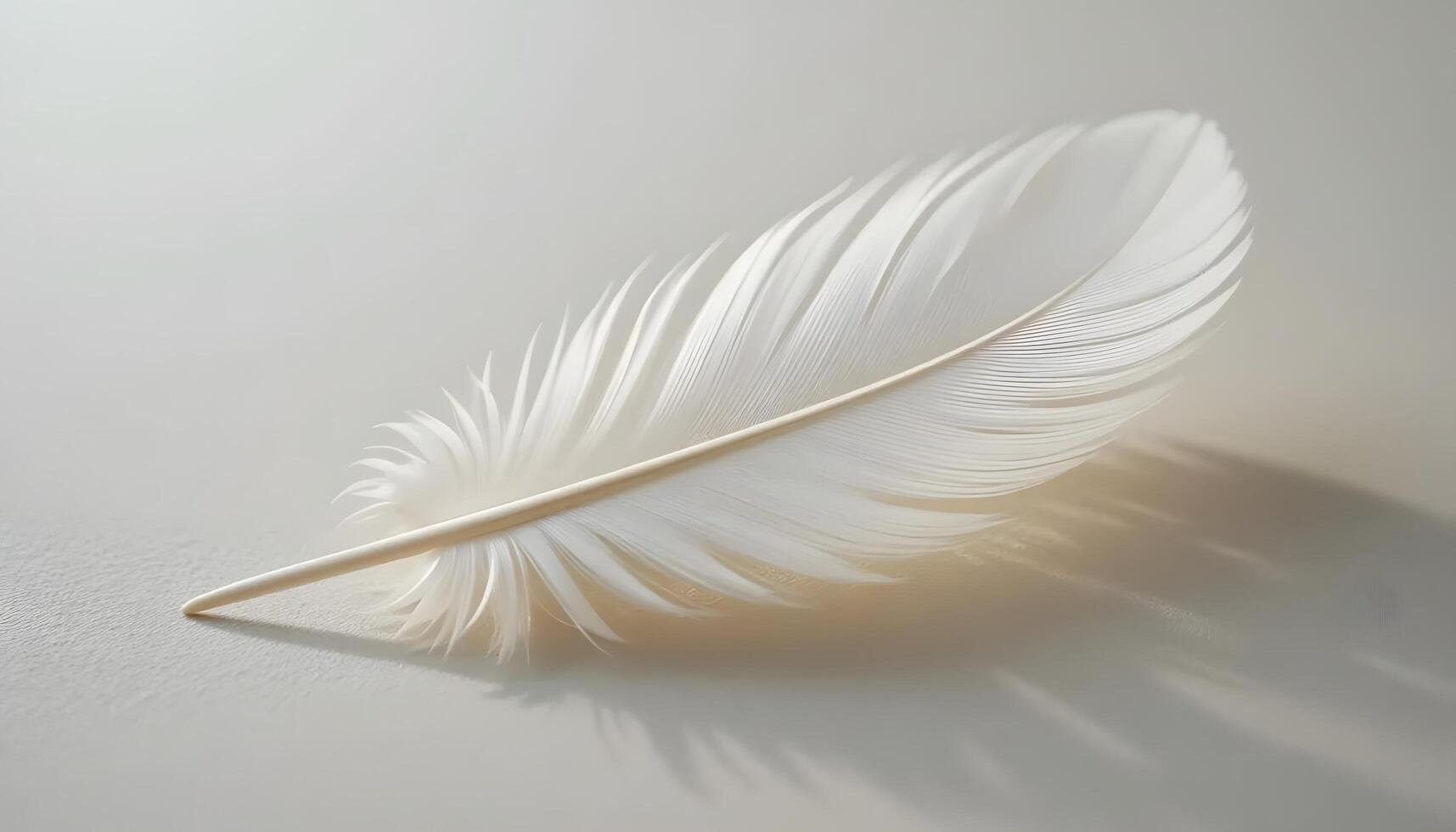 White Feather Close-up with Soft Shadow on Clean Neutral Background photo